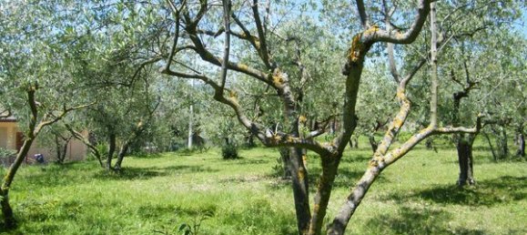 9 rooms House in Alatri, Italy No. 82365 26