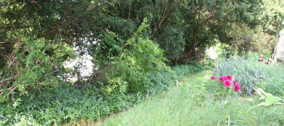  قطعة أرض في St. Andra-Wordern, Austria رقم 46635 6