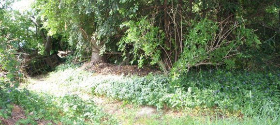  قطعة أرض في St. Andra-Wordern, Austria رقم 46635 9