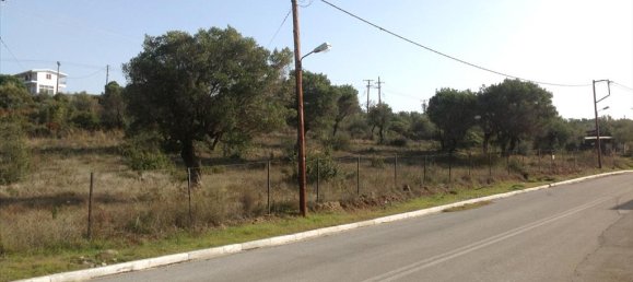 3300m² Hotel in Polygyros, Greece No. 8149 3