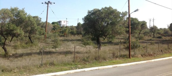 3300m² Hotel in Polygyros, Greece No. 8149 2