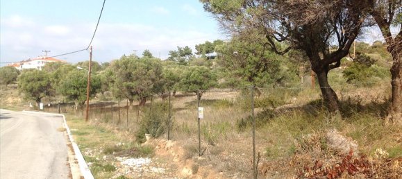 3300m² Hotel in Polygyros, Greece No. 8149 6