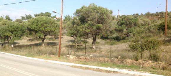 3300m² Hotel in Polygyros, Greece No. 8149 4