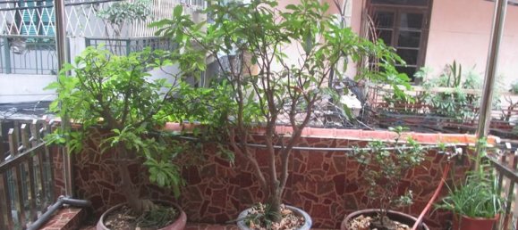 5 bedrooms House in Ba Dinh, Vietnam No. 3696 12