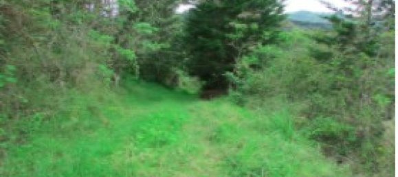 Terreno em Aserri, Costa Rica N.º 1544 4