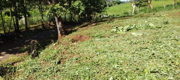 Terrain à Guanacaste, Costa Rica No. 1969 12