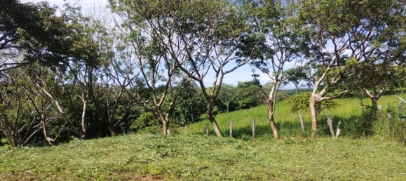 Terrain à Guanacaste, Costa Rica No. 1969 2