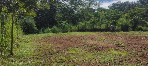 Terrain à Guanacaste, Costa Rica No. 1969 9