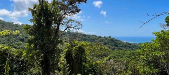 Terrain à Guanacaste, Costa Rica No. 1969 4