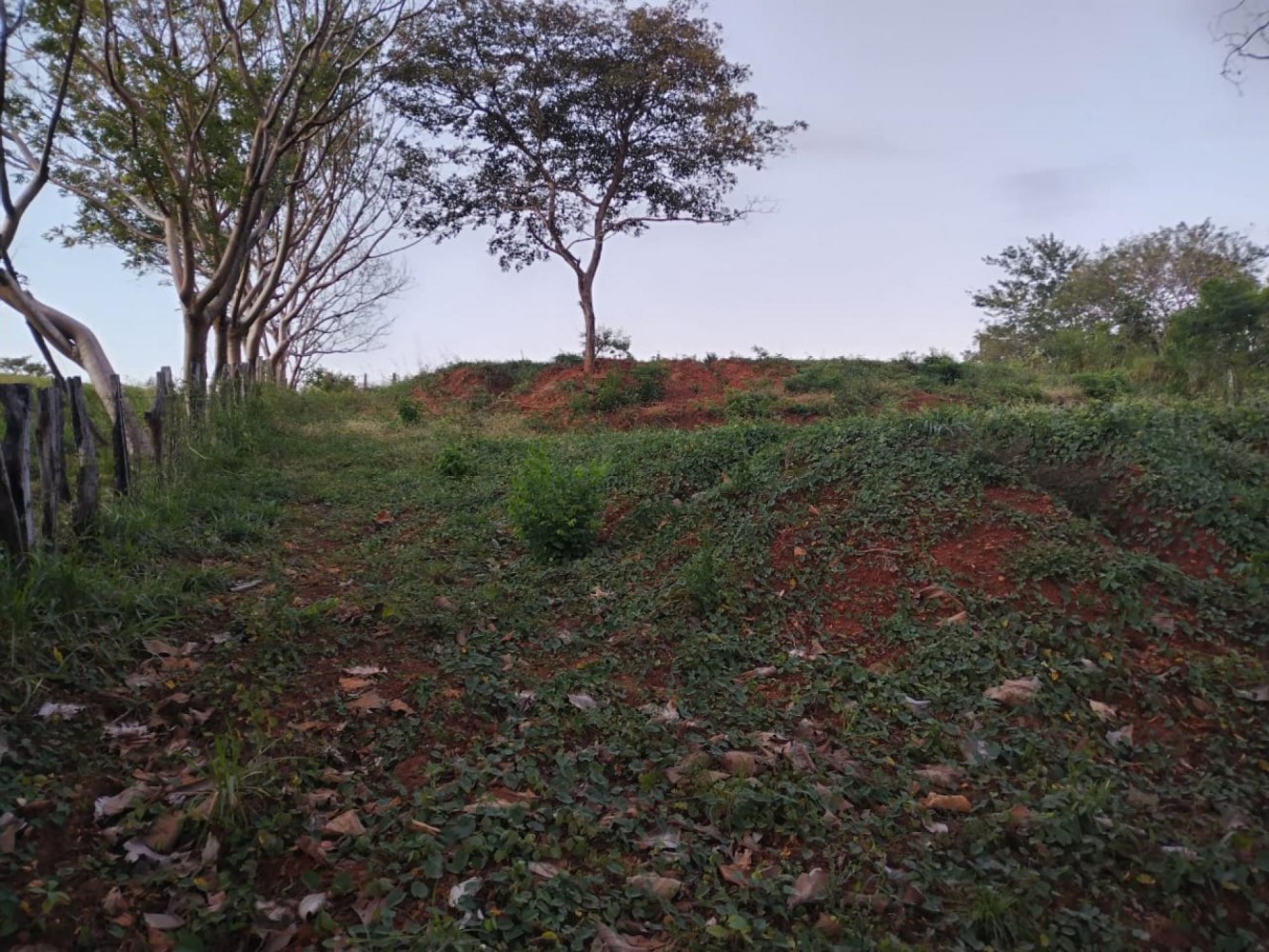 Terrain à Guanacaste, Costa Rica No. 1969