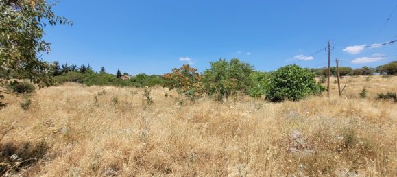 7000m² Land in Panorama, Greece No. 92784 6