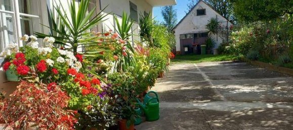 12غرفة منزل في Stegersbach, Austria رقم 130876 2