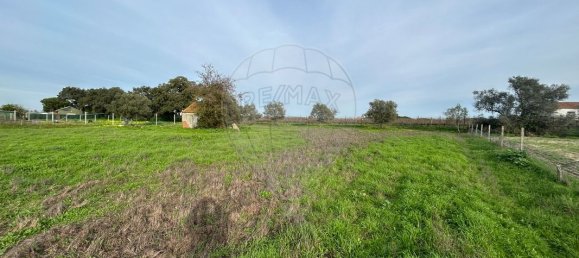 5500m² Land in Palmela, Portugal No. 70906 5