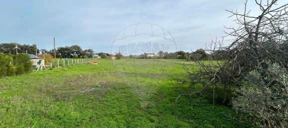 5500m² Land in Palmela, Portugal No. 70906 10