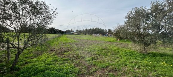 5500m² Land in Palmela, Portugal No. 70906 3
