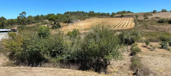  Land in Ericeira, Portugal No. 78769 4
