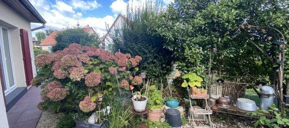 6-Zimmer Schlösser in Huningue, France, Nr. 218398 8