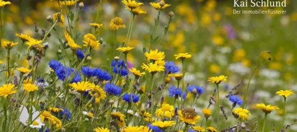  Land in Main-Kinzig, Germany No. 135416 2