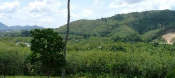 9820m² Commercial property in Bang Tao, Thailand No. 12521 6