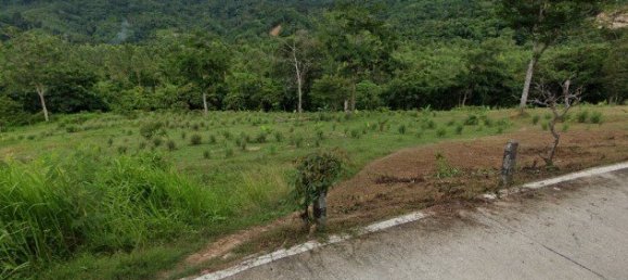 9820m² Commercial property in Bang Tao, Thailand No. 12521 2