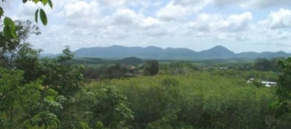 9820m² Commercial property in Bang Tao, Thailand No. 12521 7