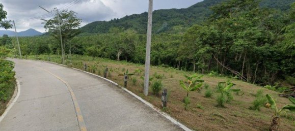 9820m² Commercial property in Bang Tao, Thailand No. 12521 4