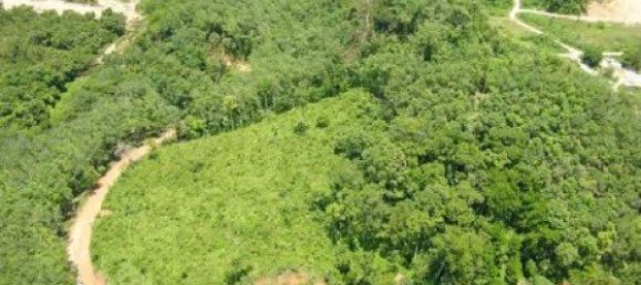 9820m² Commercial property in Bang Tao, Thailand No. 12521 5