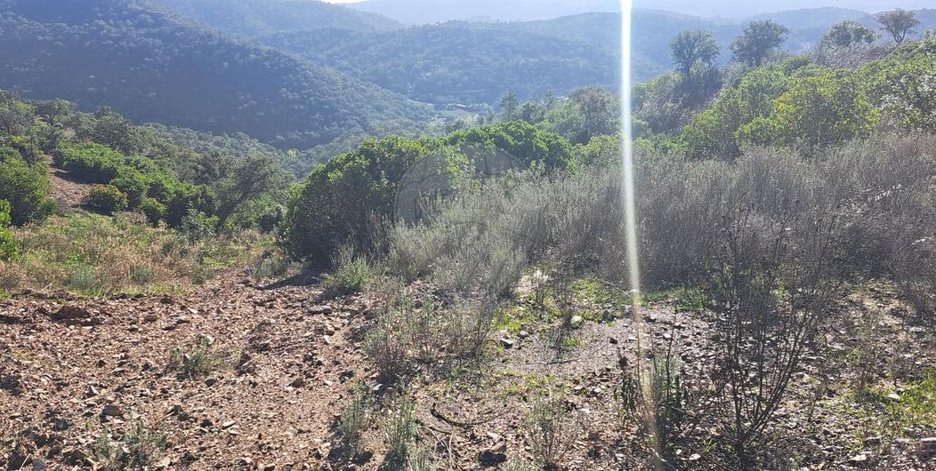 28340m² Land in Alte, Portugal No. 263864