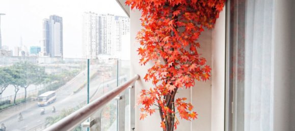 Studio in District 4, Vietnam No. 16430 5