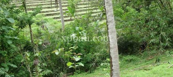 Grundstück in Tabanan, Indonesia 2690m², Nr. 3818 2