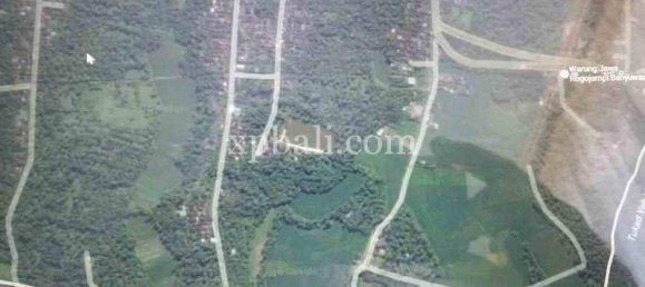 Grundstück in Tabanan, Indonesia 2690m², Nr. 3818 4