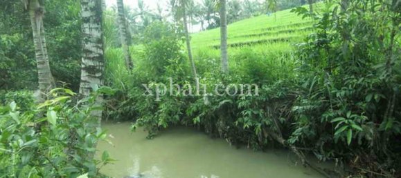 Grundstück in Tabanan, Indonesia 2690m², Nr. 3818 6