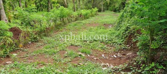 Grundstück in Tabanan, Indonesia 2690m², Nr. 3818 5