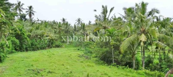 Grundstück in Tabanan, Indonesia 2690m², Nr. 3818 3