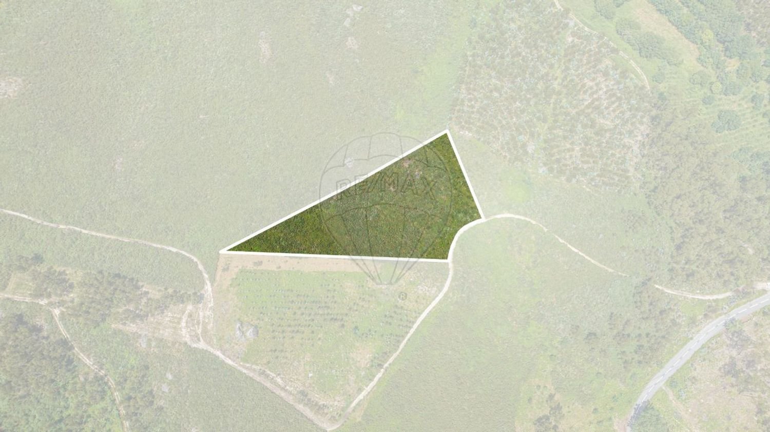 Grundstück in Travassos, Portugal 5600m², Nr. 21460