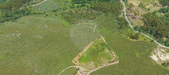 Grundstück in Travassos, Portugal 5600m², Nr. 21460 3