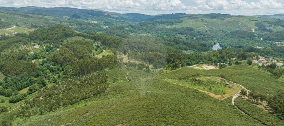 Grundstück in Travassos, Portugal 5600m², Nr. 21460 4