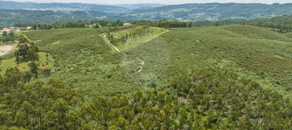 Grundstück in Travassos, Portugal 5600m², Nr. 21460 6