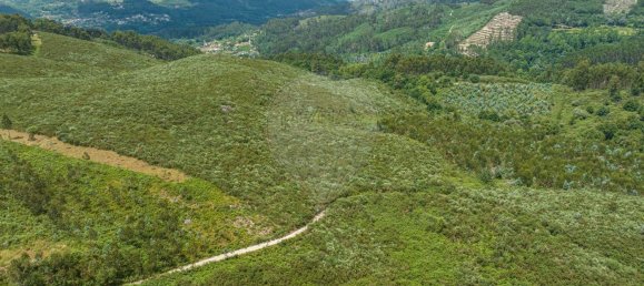 Grundstück in Travassos, Portugal 5600m², Nr. 21460 5