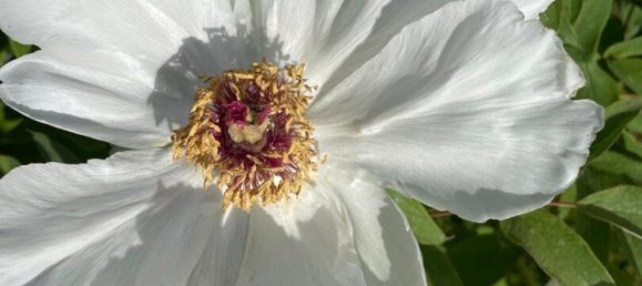 Terreno en Linz, Austria No. 127922 27