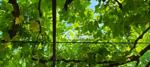 5 غرف نوم فيلا في Saint-Remy-de-Provence, France رقم 298046 3