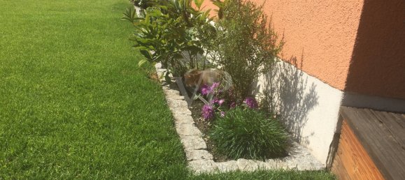 4 Schlafzimmer Stadthaus in Dresden, Germany, Nr. 23048 4