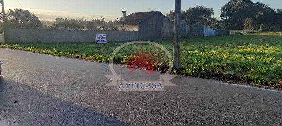 Land in Ilhavo, Portugal No. 97080 5