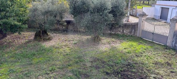 5 غرف نوم منزل في Quintela de Lampacas, Portugal رقم 40518 32