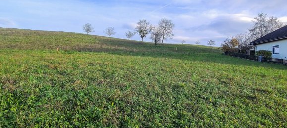  Land in St. Marien, Austria No. 130691 5