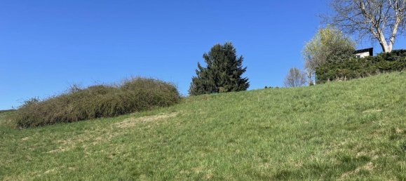 3279m² Land in Dobl-Zwaring, Austria No. 207285 4