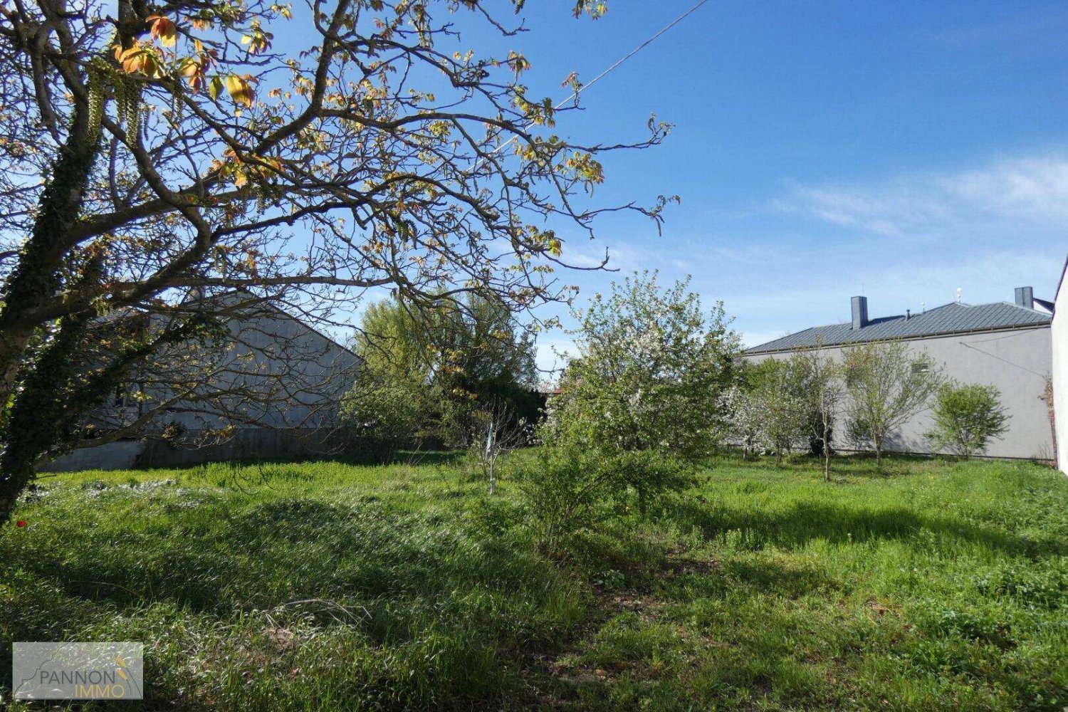 1096m² Land in Frauenkirchen, Austria No. 157541