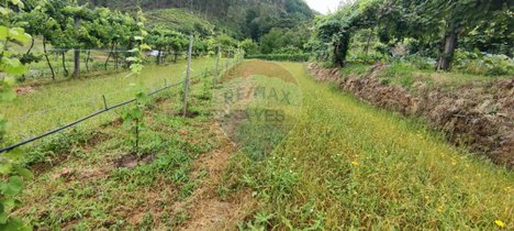 Grundstück in Ponte da Barca, Portugal 7020m², Nr. 58574