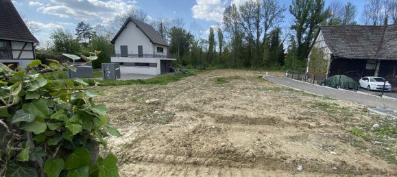 Land in Dietwiller, France No. 88182 4