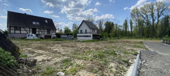  Land in Dietwiller, France No. 88182 5